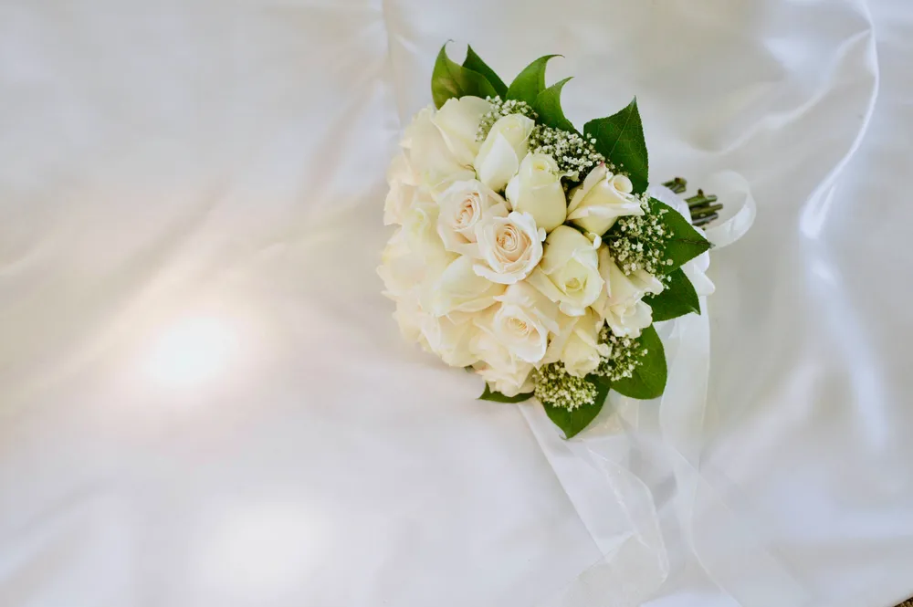 White roses & olive leaves